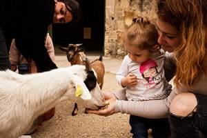 _CRTLOccitanie_0038335_MD