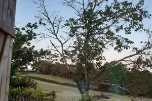 IMG-20210523-WA0000