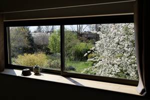Fenêtres panoramiques, vue sur le jardin