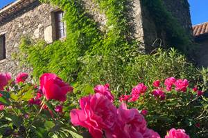 Le printemps dans les Cévennes