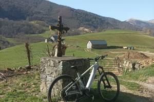 IMG-20260305-WA0005