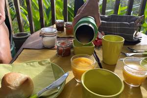 IMG_4133 Medium