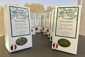 TISANE EUCALYPTUS