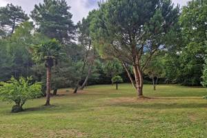 <img src="cours-palmiers-hacienda-soubran.jpg"       alt="Cours centrale ornée de palmiers et bananiers à L’Hacienda de Soubran"       title="Cour centrale de L’Hacienda de Soubran, ambiance mexicaine">