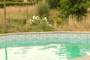 Piscine chauffée (6.5x4.5) et jardin en cours de finition