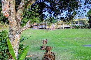 SOLEIL COUCHANT VU DEPUIS LE JARDIN