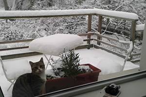Les-Tilleuls-Bed-Breakfast-a-Vielsalm-neige-Haute-Ardenne