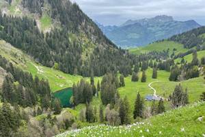 Randonnée proche du studio - lac de montagne et Moléson au loin