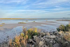 L'Estran à marée basse