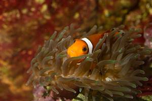 AQUARIUM DU LIMOUSIN A LIMOGES