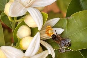 Où dormir près du Canal du Midi