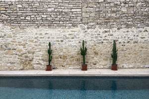 PISCINE 1