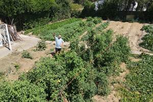 chambre-hote-bouches-du-rhone