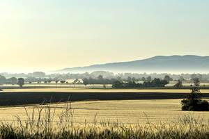 photo-optimisee-2