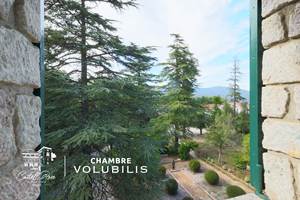 CASTELLROSE-Volubilis-5