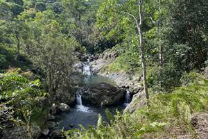 Bungalow Sarraméa Dépaysement