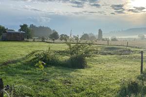 Les terres de la chouette, le jardin