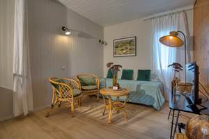 Salon en rotin et télévision