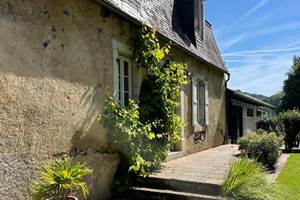 La vigne de La Caminade!