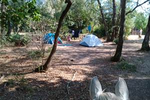 IMG_20240823_104303_895