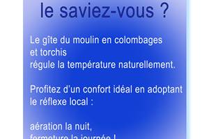 jardin, nature, forêt, rivière