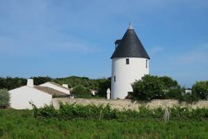 12  Moulin à Vent