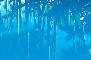 la vie en bleu