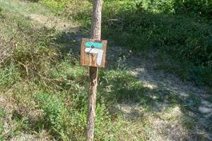 Balise artisanale de notre sentier privé, traversant le bois avec un magnifique point de vue sur Lauzerte et sa vallée, avant de rejoindre le GR65, Chemin de Compostelle. Accès direct et paisible à pied, idéal pour marcheurs et pèlerins