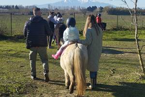 balade à poney Pyrénées-Orientales  promenade poney 66  activité enfant Pyrénées-Orientales  poney club 66  centre équestre Pyrénées-Orientales  balade à cheval 66  activité famille Pyrénées-Orientales  équitation enfant 66  balade à poney près de Perpignan  balade à poney bompas, claira, toreilles, barcares, canet en roussillon, sainte marie, Thuir, Pézilla, elne, cabestany, rivesaltes, saint estève