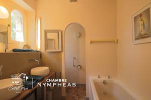CASTELLROSE-Nympheas-2