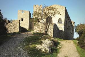 Visites Guidées Tornac