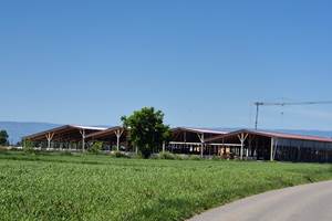 Ferme des Délices Foréziens Loire