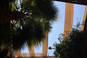 IMG_Marrakech _Riad Djebel_ terrasse palmier