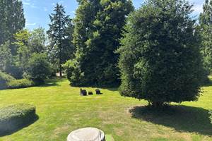 Vue sur Parc