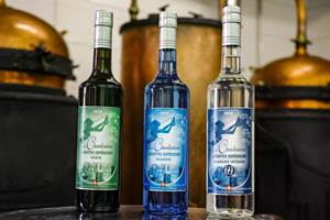 26-02-27 3 dsmbouteille abscinthe