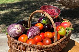 Du potager à l'assiette