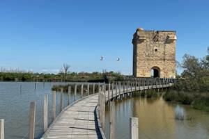 Tour Carbonnière vers Aigues-Mortes