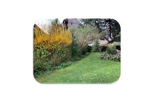 Jardin fond blanc