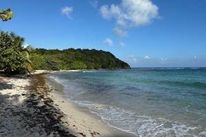 Iguane House villas & Micro Spa randonnée littorale depuis la villa Lagon