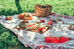 picnic