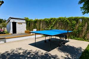 PING PONG