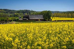 Ferme vu du hait avec Colza