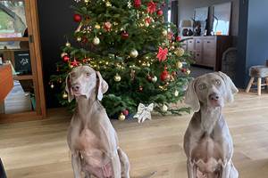 Ichka & Plume