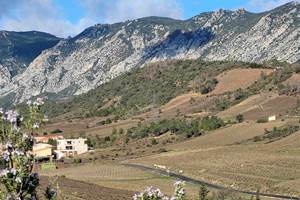 domainelatoupie-chambredhote-roussillon-oenotourisme