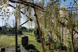 IMG_20250414_091026