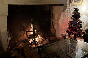 feu de cheminée et sapin de noel maison garesché
