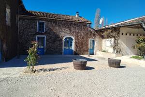 Cour