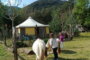 IMG_20230416_104400_862