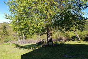 Gîte n°19G4101 – GOURDON MURAT