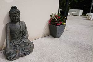 Zen boudha attitude dans ce gite très nature loin du stress de la vie citadine